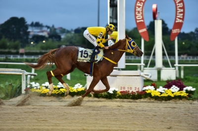 No Bien Ni Mal &ndash; Haras Santa Maria de Araras &ndash; Porfirio Menezes