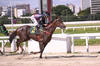Road do Iguassu &ndash; Haras Rio Iguassu &ndash; Marilia Lemos