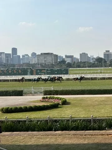 Beatriz Cesarini/UOL