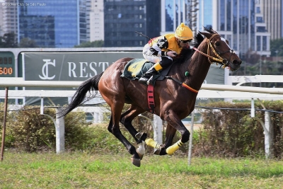 Qual &Eacute; &ndash; Porfirio MenezesJCSP