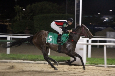 Meydan &ndash; Gerson Martins