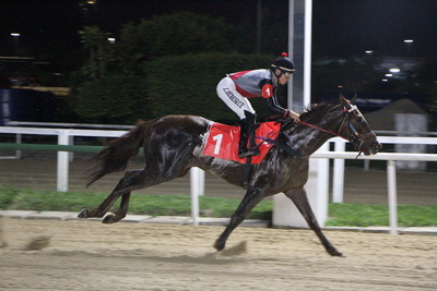 Road do Iguassu &ndash; Gerson Martins