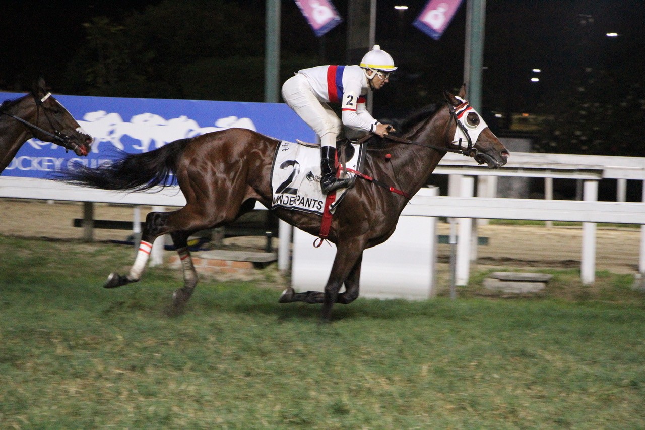 Underpants &ndash; Haras Doce Vale &ndash; Gerson Martins