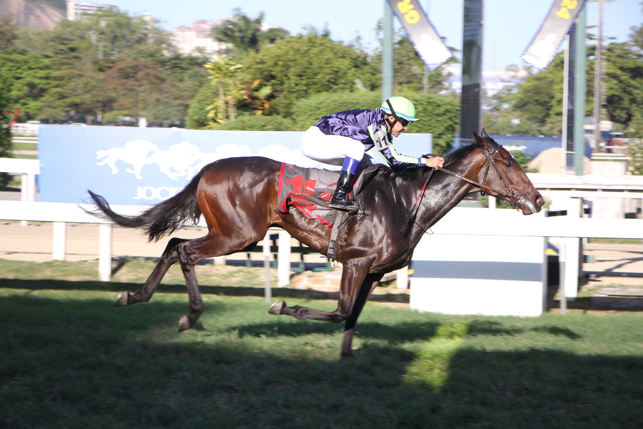 Ethereum &ndash; Stud New Bridge &ndash; Gerson Martins