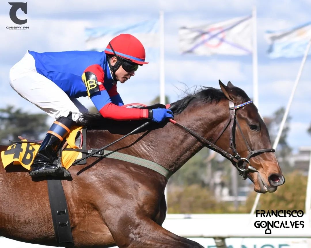 Francisco Leandro &ndash; Chispy PH