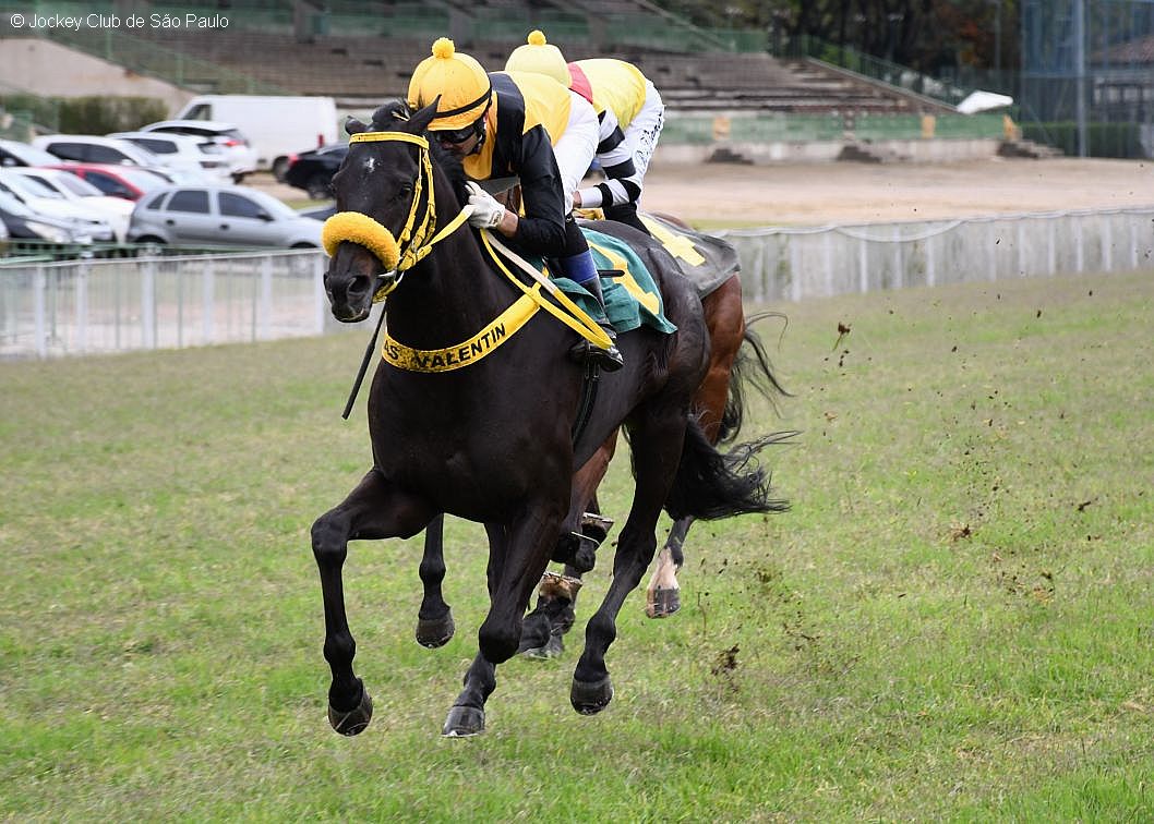 Jo&atilde;o Moreira &ndash; Mind Trick &ndash; Porf&iacute;rio Menezes JCSP