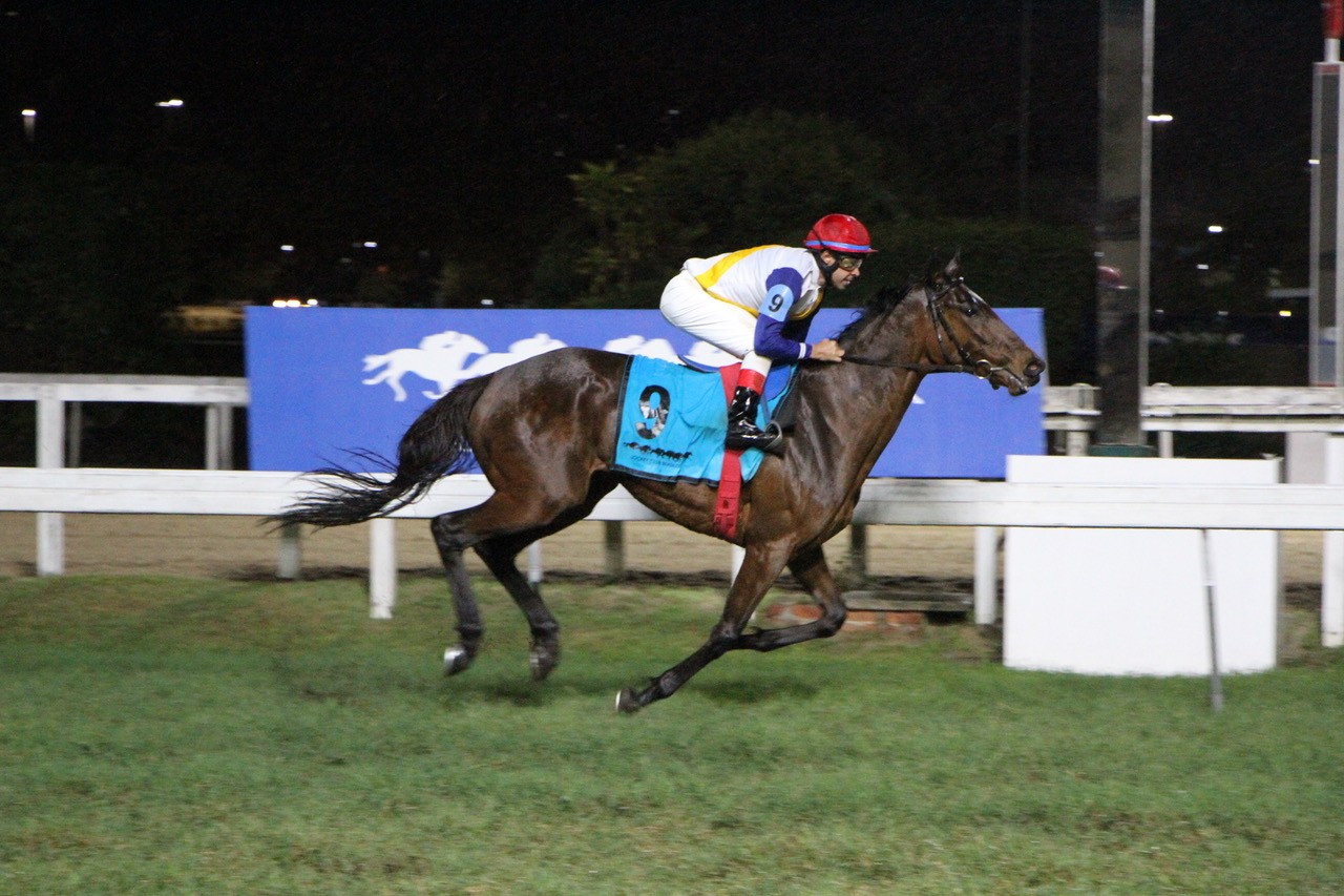 Bourgogne, ganhadora do GP Duque de Caxias &ndash; Gerson Martins