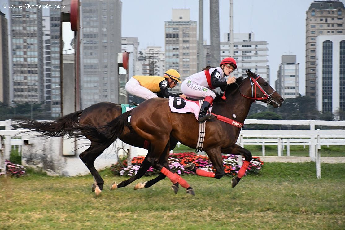 Express Moon &ndash; Porfirio Menezes JCSP