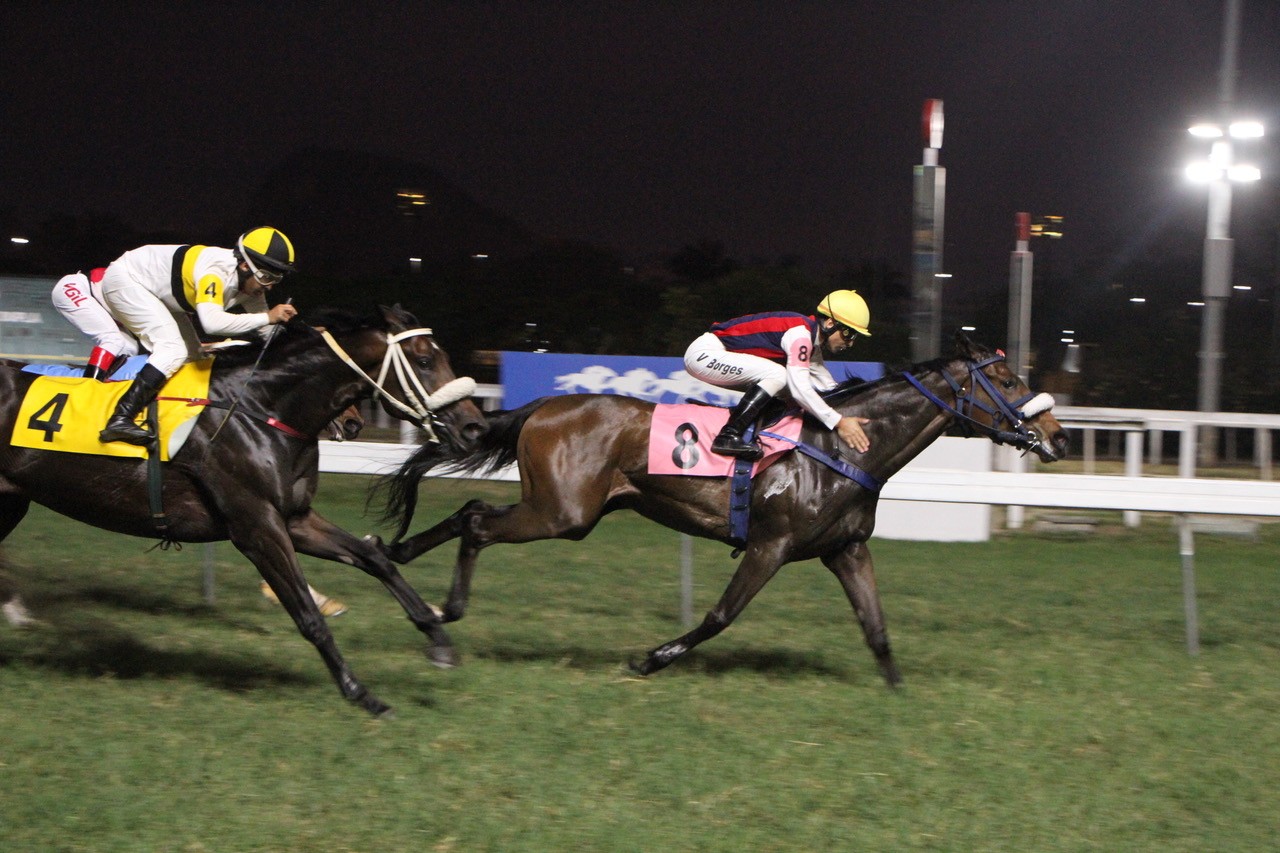 Not To Worry &ndash; Gerson Martins