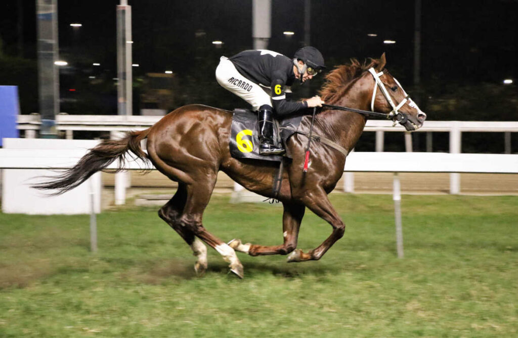 King Jorge &ndash; J. Ricardo &ndash; Sylvio Rondinelli JCB