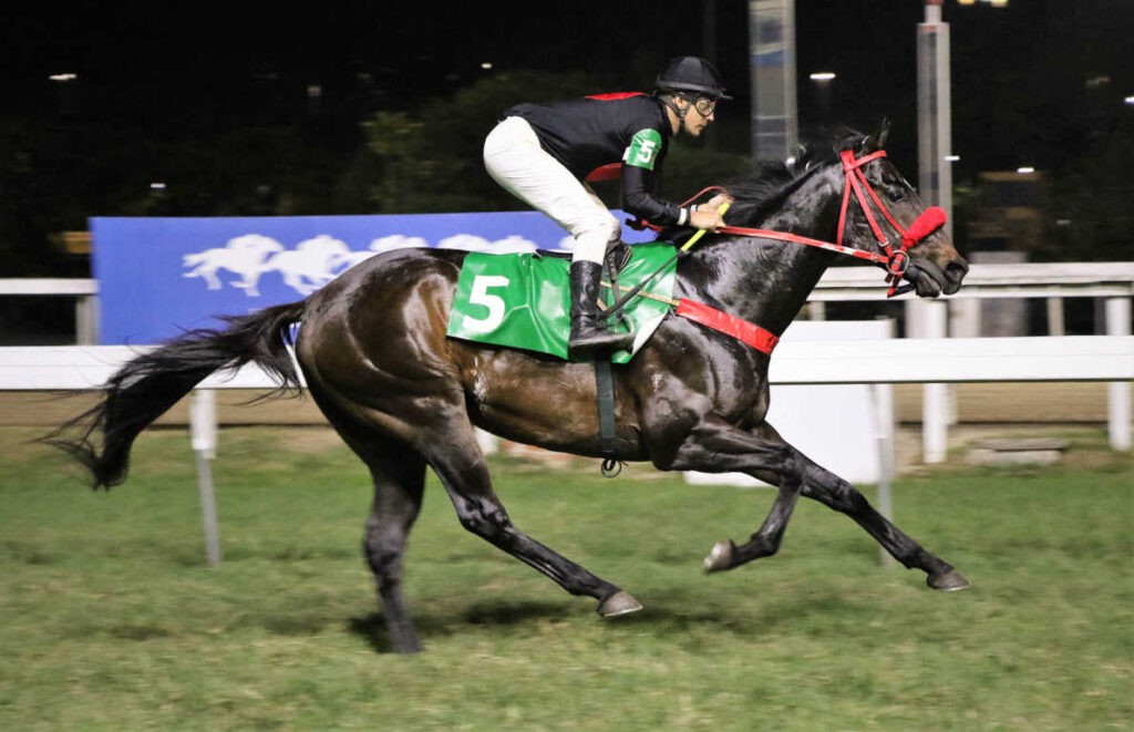 Marrocos – H. Fernandes – Sylvio Rondinelli JCB Marrocos – H. Fernandes – Sylvio Rondinelli JCB