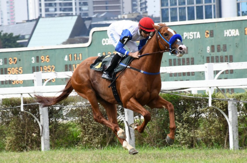 Cold Heart &ndash; Fazenda Mondesir &ndash; Porfirio Menezes