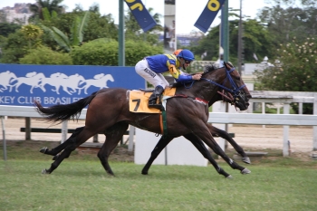 Open The Door &ndash; Gerson Martins