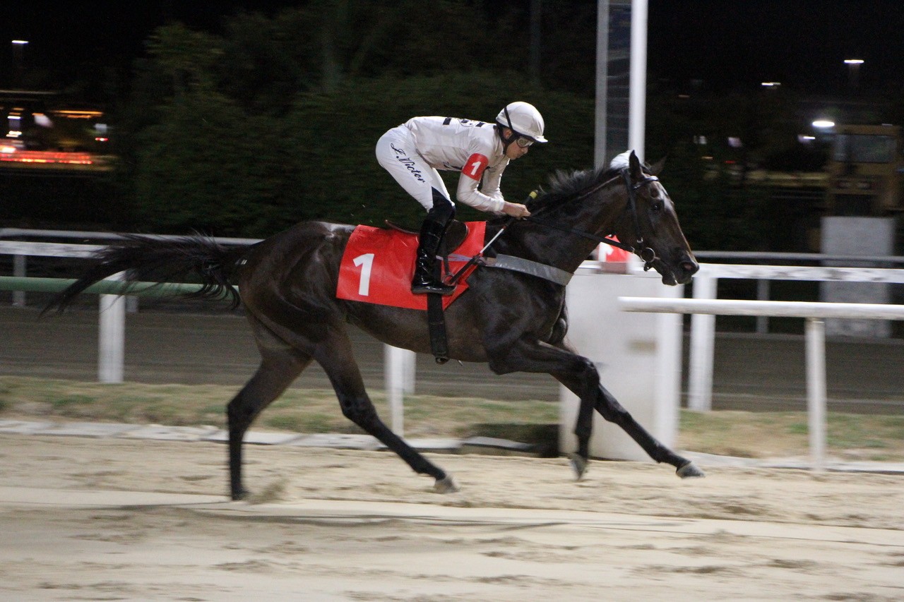 The Good Friend &ndash; Haras das Estrelas &ndash; Jo&atilde;o Victor &ndash; Gerson Martins