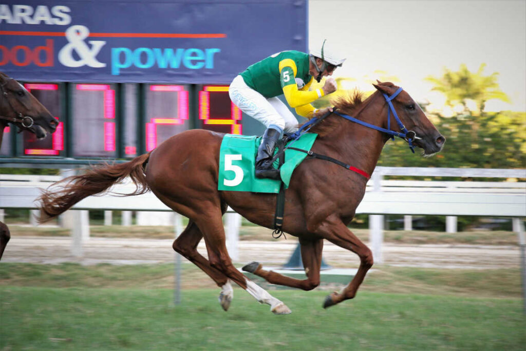 J. Ricardo &ndash; Endless Love &ndash; Sylvio Rondinelli