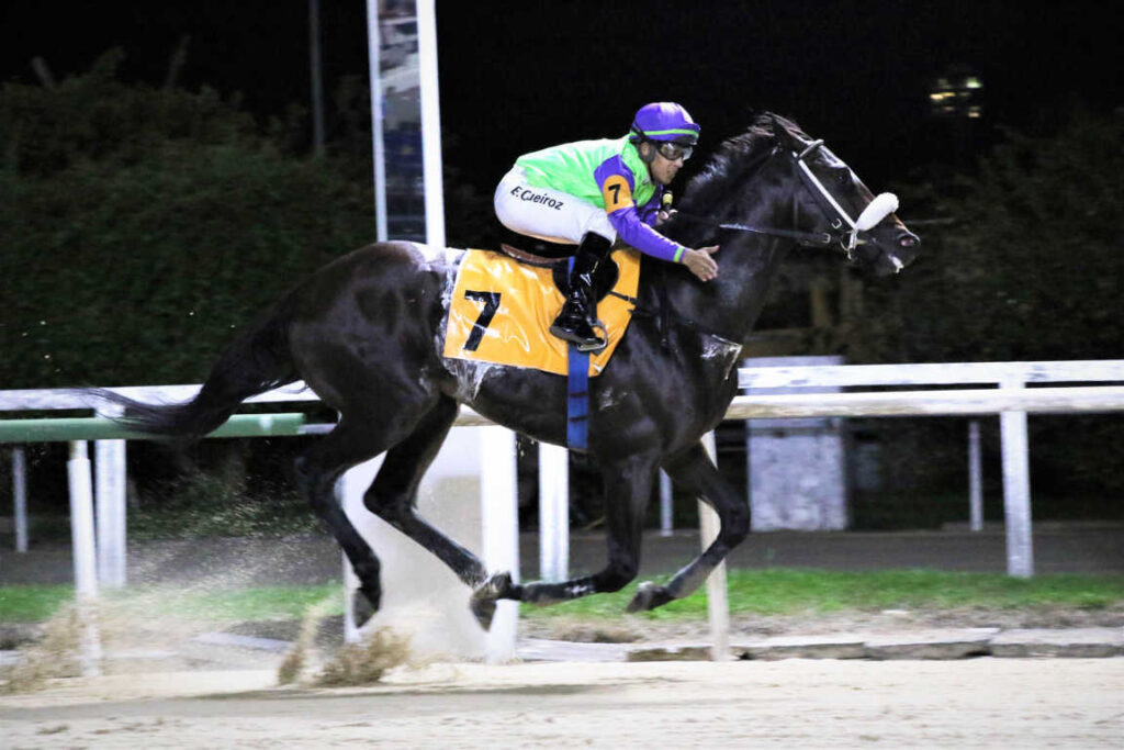 Castro Fidel &ndash; Stud Winchester 45 &ndash; Sylvio Rondinelli